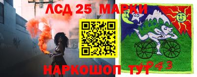 мяу мяу мука Новокубанск
